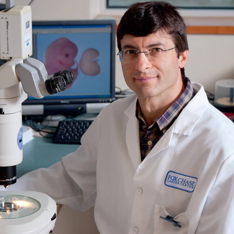 Headshot of Alfonso Bellacosa, MD, PhD.