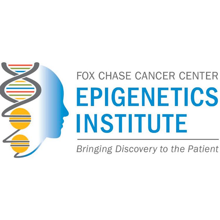 Fox Chase Cancer Center Epigenetics Institute. Bringing Discovery to the Patient.