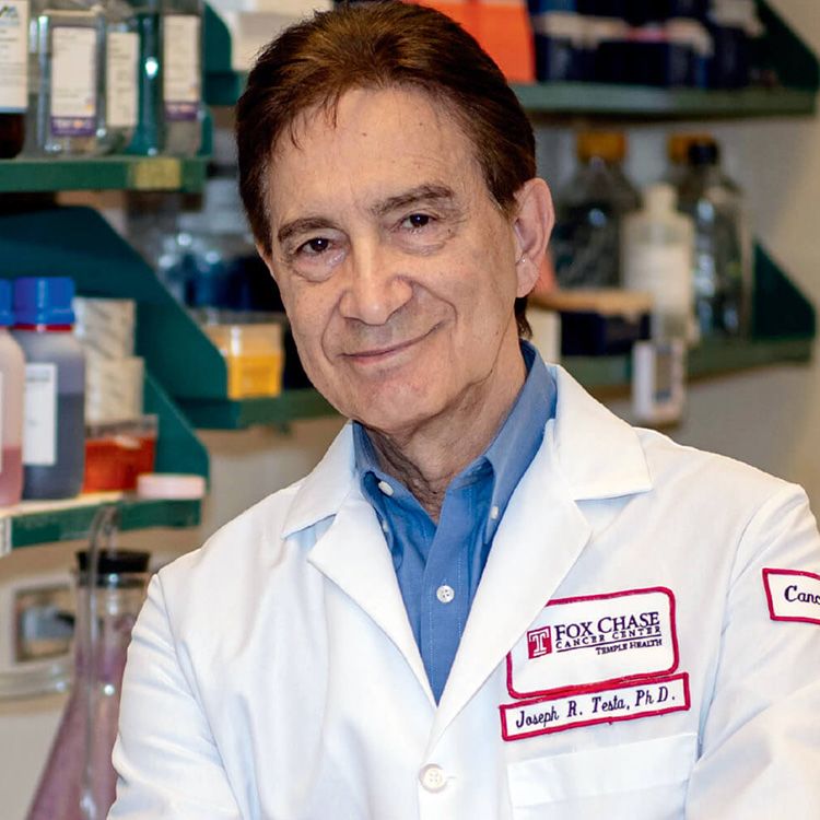 Headshot of Joseph Testa, PhD.