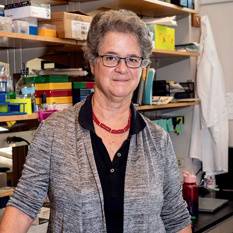 Photo of Erica Golemis, PhD standing in front of a bookcase.