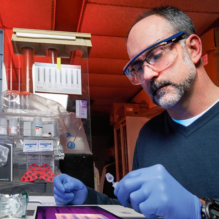 Image of Immunologist David L. Wiest, PhD conducting research. 